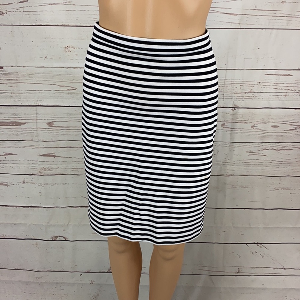 Banana Republic Skirt